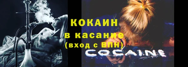 мдпв Каменногорск