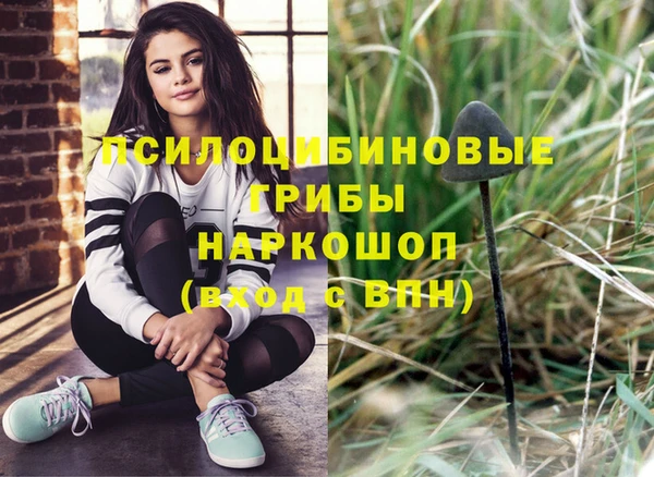 mdpv Семилуки