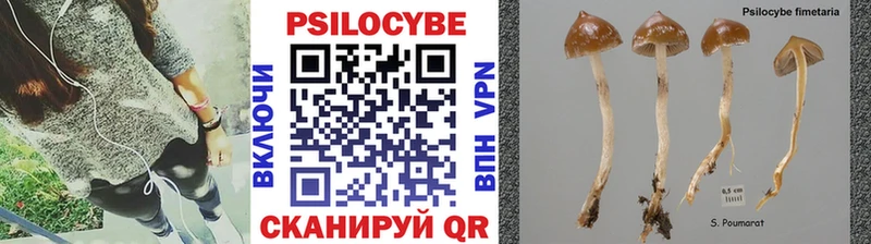 цены Советск Галлюциногенные грибы Magic Shrooms