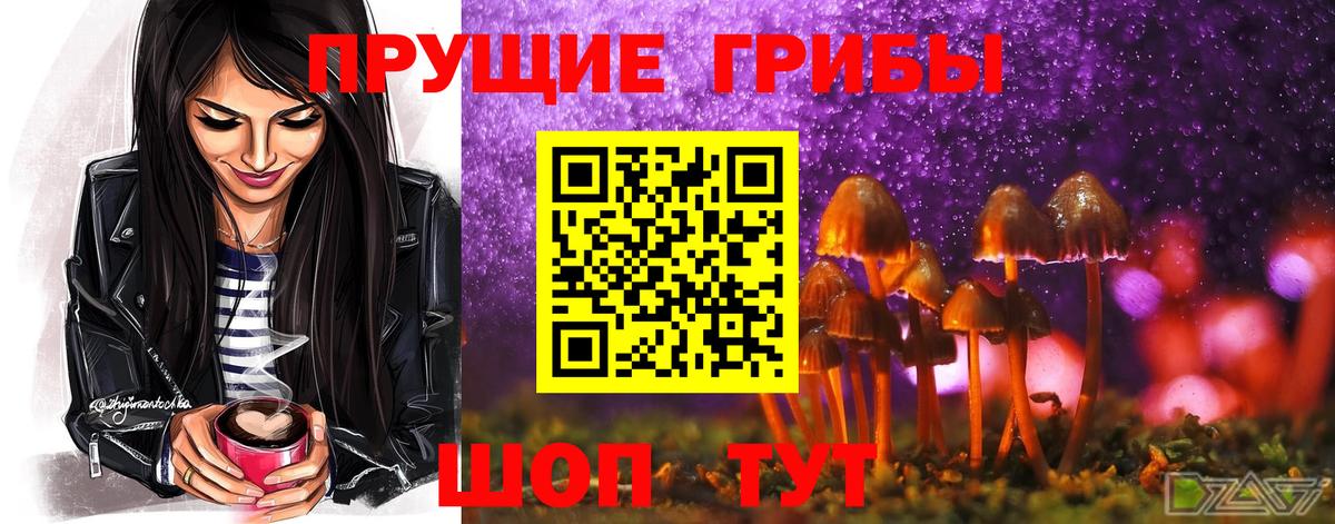 Советск  Псилоцибиновые грибы Psilocybe  Вход с VPN 